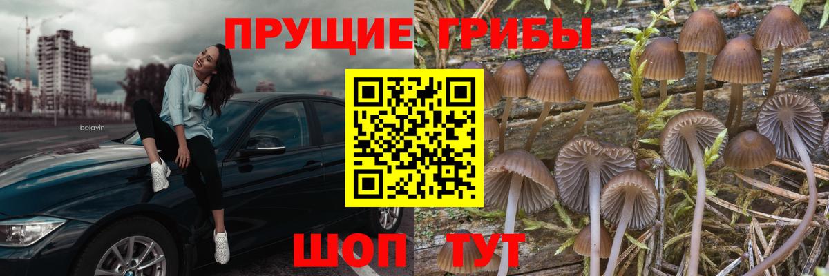 Псилоцибиновые грибы MAGIC MUSHROOMS Орехово-Зуево