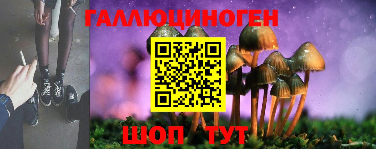 Орехово-Зуево  Галлюциногенные грибы прущие грибы  Вход с VPN  Галлюциногенные грибы мухоморы 